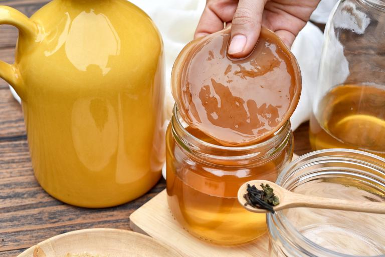 Hand holding tea kombucha SCOBY with kombucha tea.